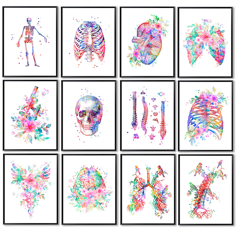 Medical Lab Pictures - ملصق طبي تعليمي غير مؤطر لتشريح