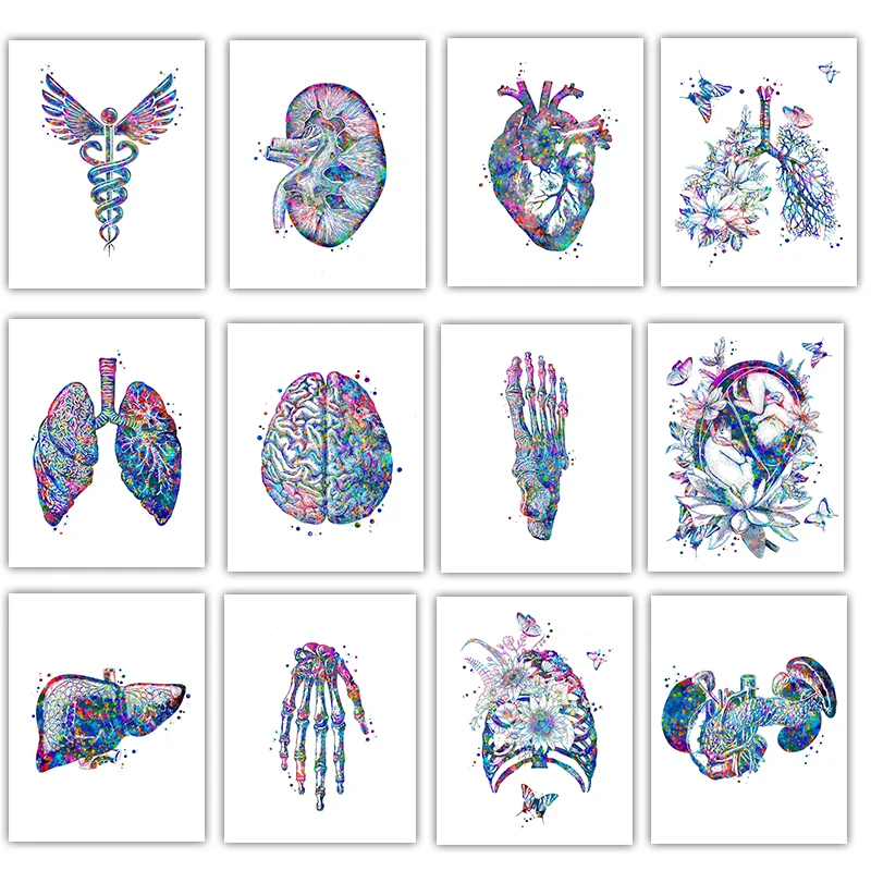 Anatomy Medical Poster Flower  - مراجعة Medical Lab Pictures وسعره