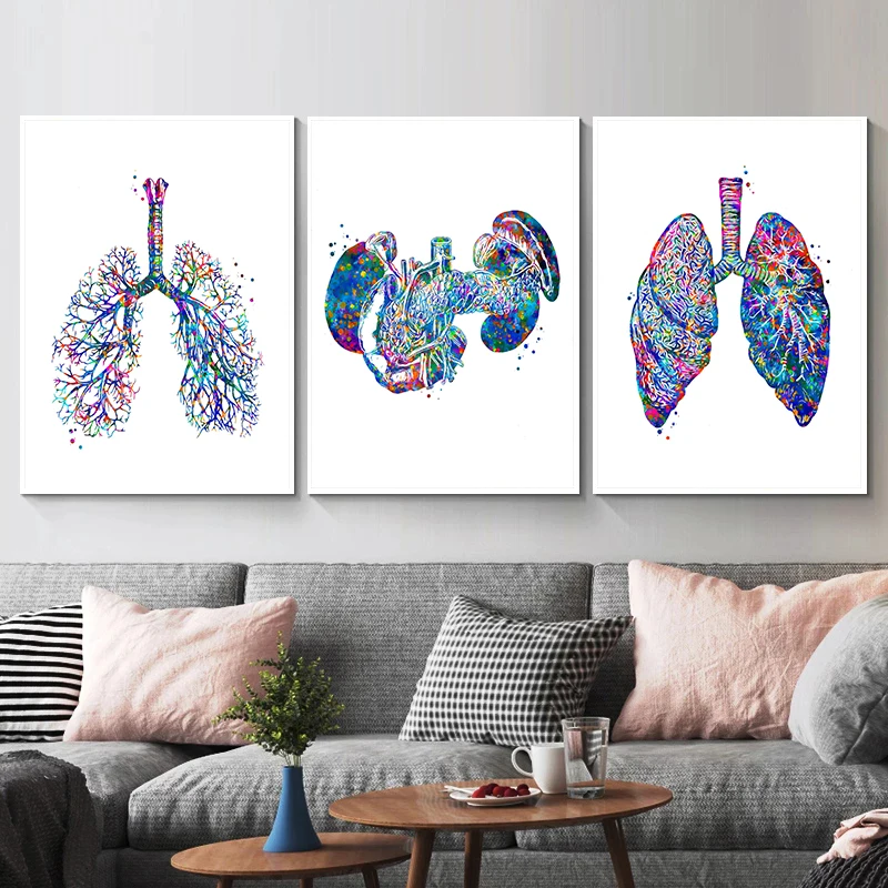 Anatomy Medical Poster Flower  - مراجعة Medical Lab Pictures وسعره