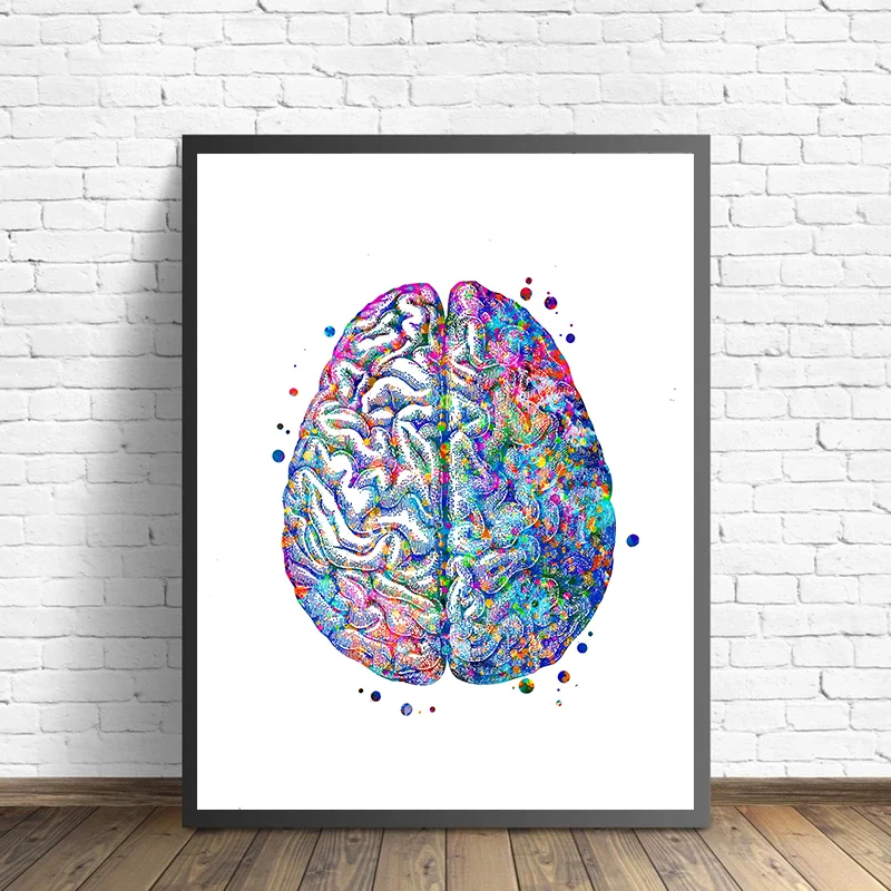 Anatomy Medical Poster Flower  - مراجعة Medical Lab Pictures وسعره