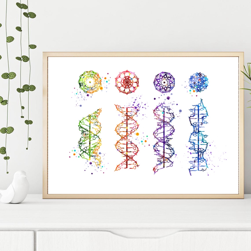 DNA جزيء طباعة الحديثة الطبية  - مراجعة Medical Lab Pictures وسعره